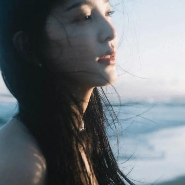独占接班人